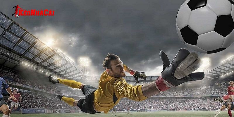 Bỏ túi các lưu ý để tránh sai lầm khi xuống tiền