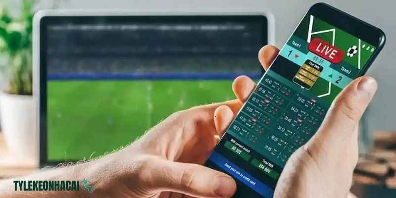 Hầu hết fan bóng đá đều theo dõi sát sao lịch đấu