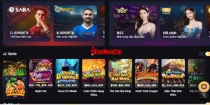 VIN88 chính thức hoạt động từ khi nào?